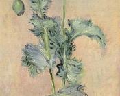 克劳德 莫奈 : Red and Pink Poppies